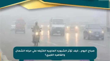 صباح اليوم.. كيف تؤثر الشبورة المائية الكثيفة على حركة الشمال والقاهرة الكبرى؟